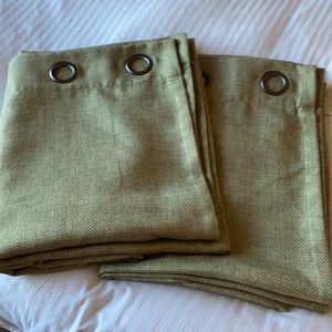 2 sage green curtain panels Target Home collection